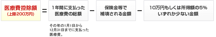 医療費控除額の計算