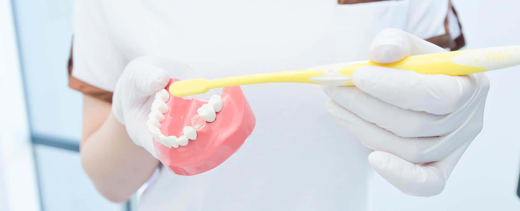 予防　虫歯　歯周病